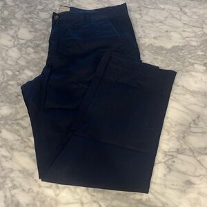 Everlane Navy Chinos